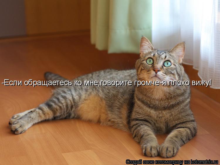 Котоматрица: -Если обращаетесь ко мне,говорите громче-я плохо вижу!