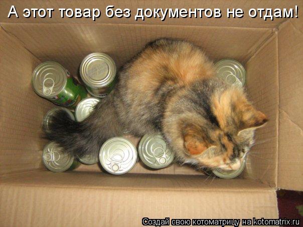 А этот товар без документов не отдам!... Котоматрица: А этот товар без документов не отдам!