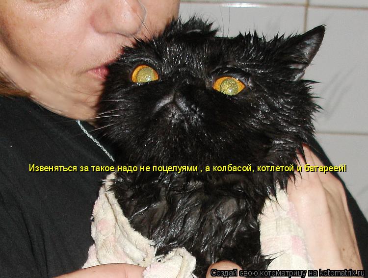 Извеняться за такое надо не поцелуями , а колбасой, котлетой и батареей!... Котоматрица: Извеняться за такое надо не поцелуями , а колбасой, котлетой и батареей!