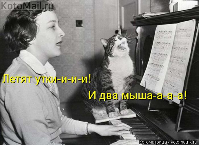 Котоматрица: Летят утки-и-и-и! И два мыша-а-а-а!