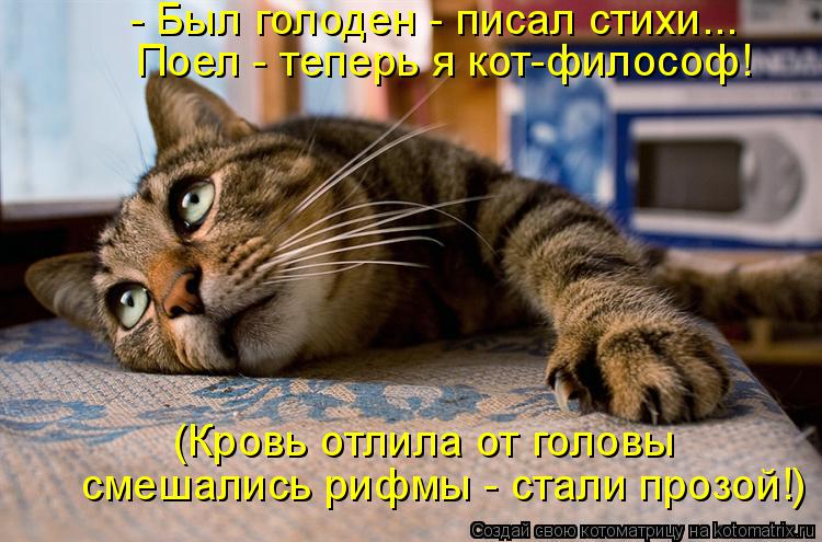 Котоматрица: - Был голоден - писал стихи... Поел - теперь я кот-философ! (Кровь отлила от головы смешались рифмы - стали прозой!)