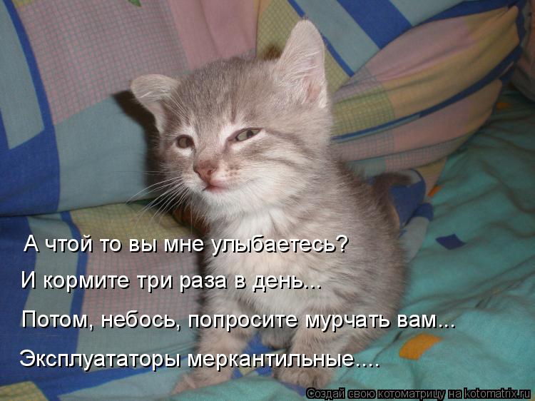 Котоматрица: И кормите три раза в день... А чтой то вы мне улыбаетесь? Потом, небось, попросите мурчать вам... Эксплуататоры меркантильные....