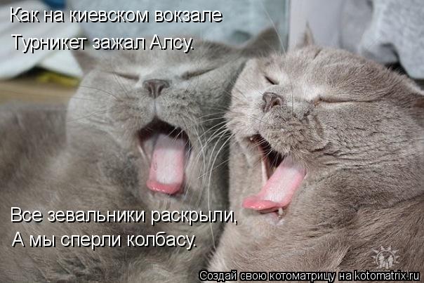 Как на киевском вокзале Турникет зажал Алсу. Все зевальники раскрыли, А мы сперли колбасу.... Котоматрица: Как на киевском вокзале Турникет зажал Алсу. Все зевальники раскрыли, А мы сперли колбасу.