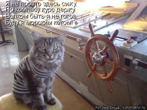 Котоматрица: Я не просто здесь сижу. По компасу курс держу. Волком быть я не готов. Буду я морским котом!