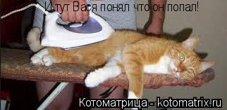 Котоматрица: И тут Вася понял что он попал!