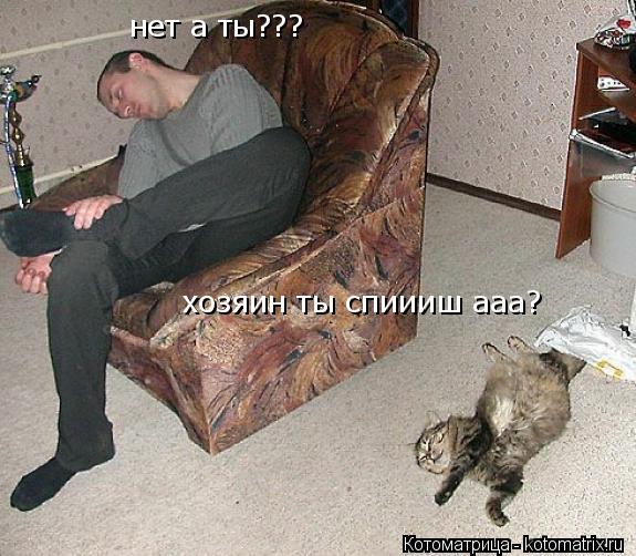 Котоматрица: хозяин ты спиииш ааа? нет а ты???