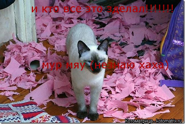 Котоматрица: и кто все это зделал!!!!!!! мур мяу (незнаю хаха)