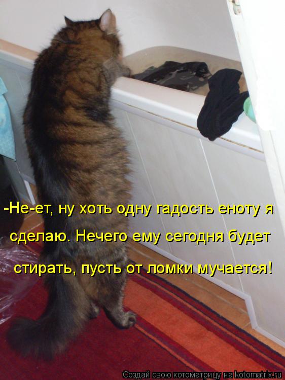 Котоматрица: -Не-ет, ну хоть одну гадость еноту я сделаю. Нечего ему сегодня будет стирать, пусть от ломки мучается!