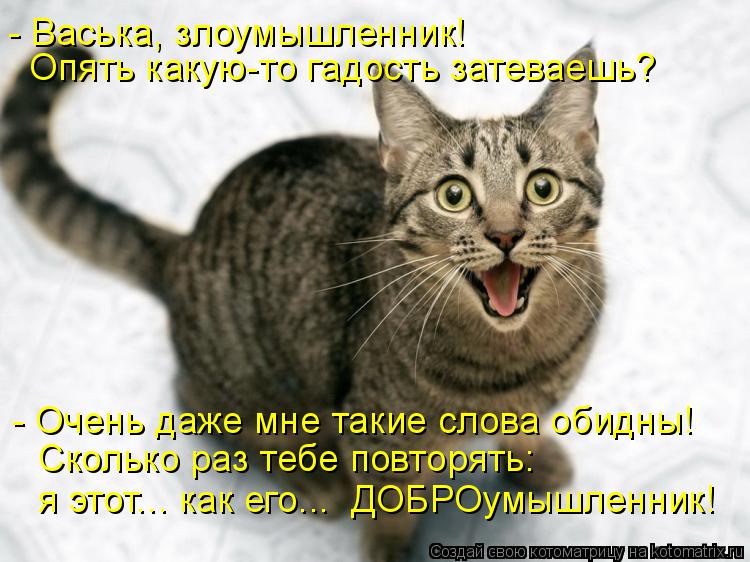 Котоматрица: - Васька, злоумышленник!  Опять какую-то гадость затеваешь? - Очень даже мне такие слова обидны! Сколько раз тебе повторять:  я этот... как его...