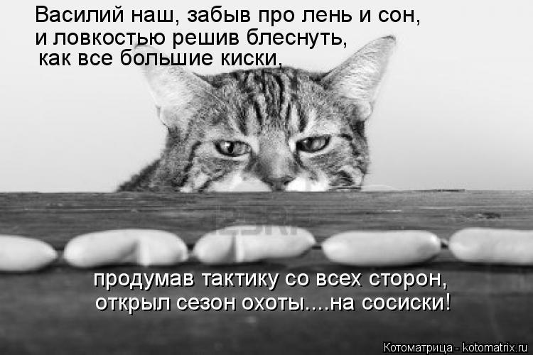 Котоматрица: продумав тактику со всех сторон, открыл сезон охоты....на сосиски! и ловкостью решив блеснуть, Василий наш, забыв про лень и сон, как все больш