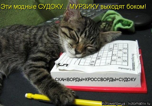 СКАНВОРДЫ=КРОССВОРДЫ=СУДОКУ Эти модные СУДОКУ... МУРЗИКУ выходят боком!... Котоматрица: СКАНВОРДЫ=КРОССВОРДЫ=СУДОКУ Эти модные СУДОКУ... МУРЗИКУ выходят боком!