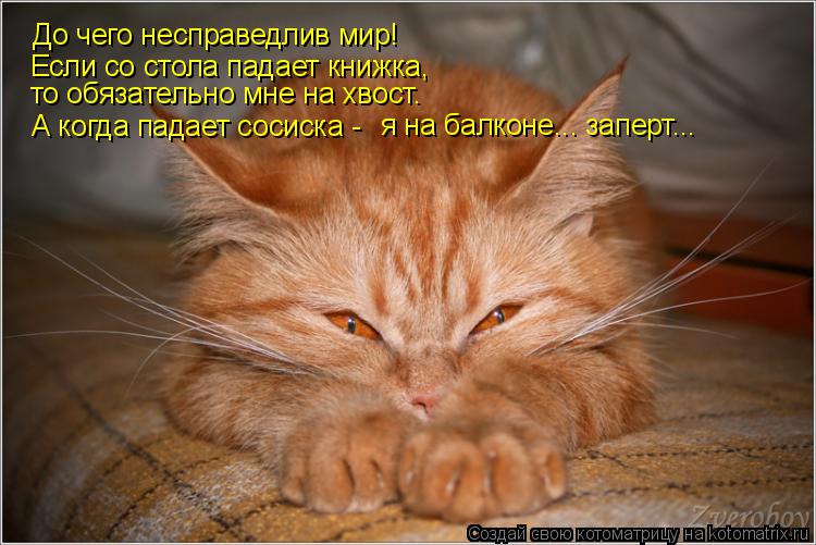 Котоматрица: До чего несправедлив мир! Если со стола падает книжка,  то обязательно мне на хвост. А когда падает сосиска - я на балконе... заперт...