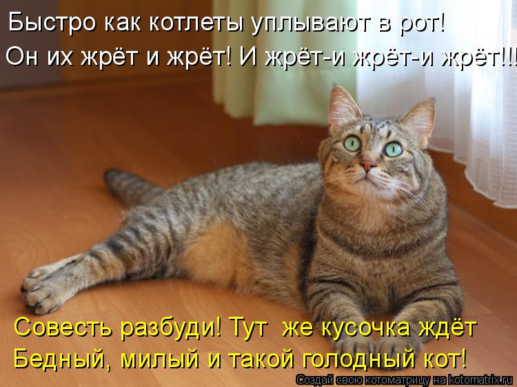 Котоматрица: Быстро как котлеты уплывают в рот! Совесть разбуди! Тут  же кусочка ждёт Бедный, милый и такой голодный кот! Он их жрёт и жрёт! И жрёт-и жрёт-и 