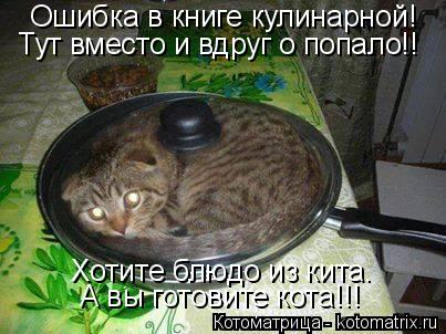 Котоматрица: Ошибка в книге кулинарной! Тут вместо и вдруг о попало!! Хотите блюдо из кита. А вы готовите кота!!!