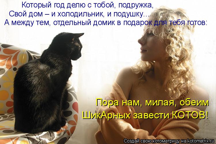 Котоматрица: Который год делю с тобой, подружка, Свой дом – и холодильник, и подушку… А между тем, отдельный домик в подарок для тебя готов: Пора нам, мила