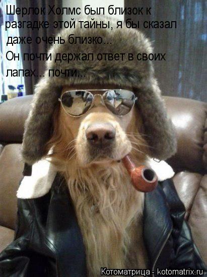 Котоматрица: Шерлок Холмс был близок к   разгадке этой тайны, я бы сказал даже очень близко... Он почти держал ответ в своих лапах... почти...