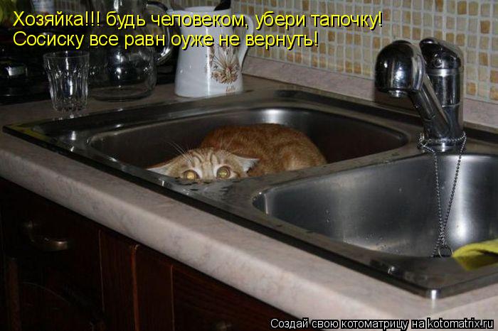 Котоматрица: Хозяйка!!! будь человеком, убери тапочку! Сосиску все равн оуже не вернуть!