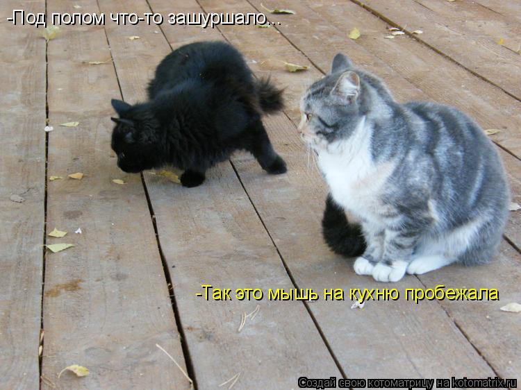 Котоматрица: -Под полом что-то зашуршало... -Так это мышь на кухню пробежала