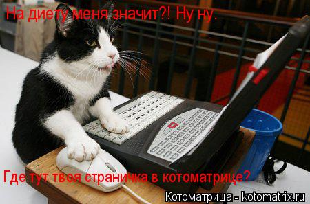 Котоматрица: Где тут твоя страничка в котоматрице? На диету меня значит?! Ну ну.