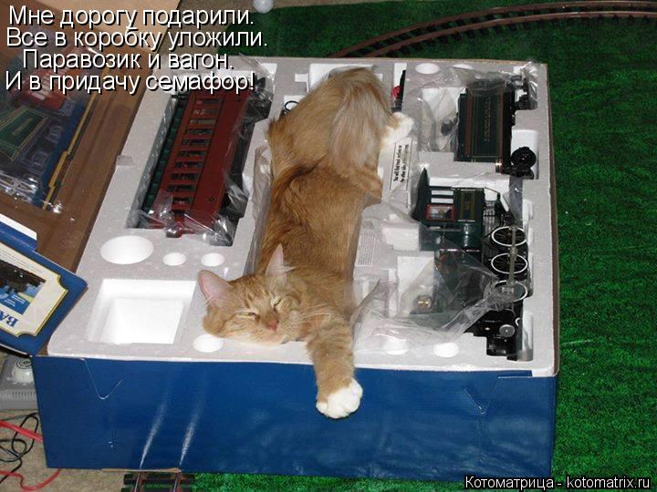 Котоматрица: Мне дорогу подарили. Все в коробку уложили. Паравозик и вагон. И в придачу семафор!