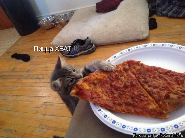 Котоматрица: Пицца ХВАТ !!!