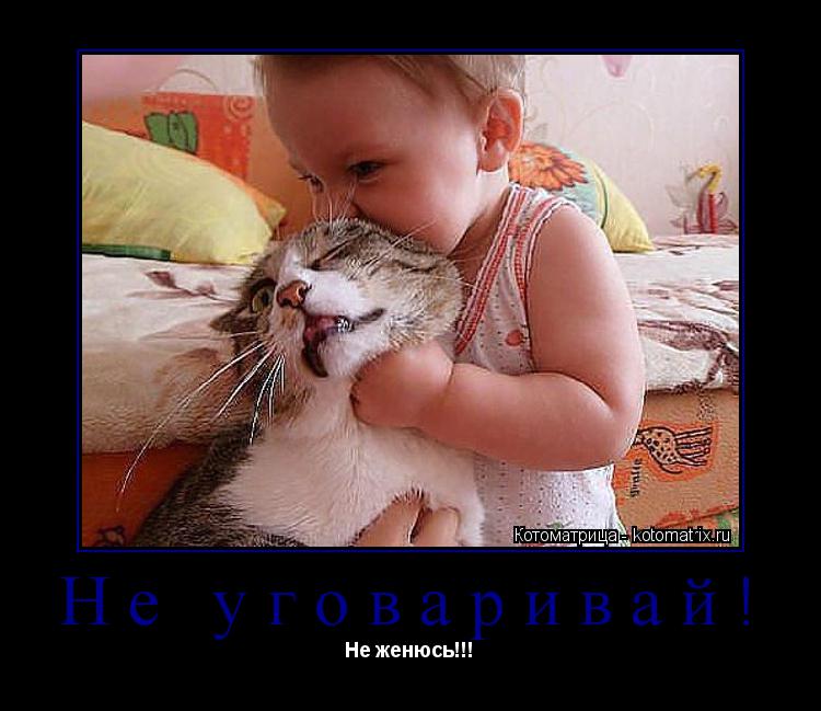Не уговаривай! Не женюсь!!!... Котоматрица: Не уговаривай! Не женюсь!!!