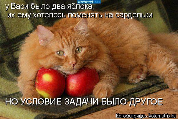у Васи было два яблока, их ему хотелось поменять на сардельки НО УСЛОВИЕ ЗАДАЧИ БЫЛО ДРУГОЕ... Котоматрица: у Васи было два яблока, их ему хотелось поменять на сардельки НО УСЛОВИЕ ЗАДАЧИ БЫЛО ДРУГОЕ