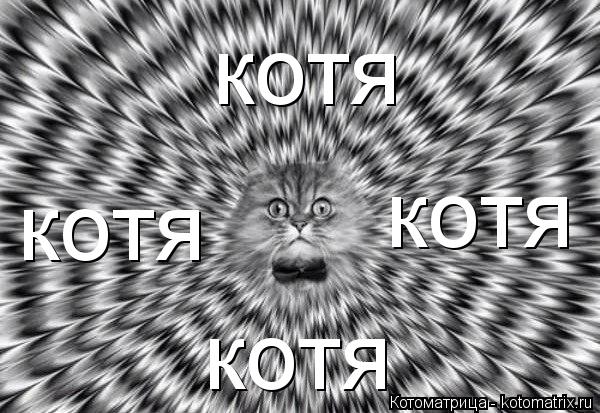Котоматрица: котя котя котя котя