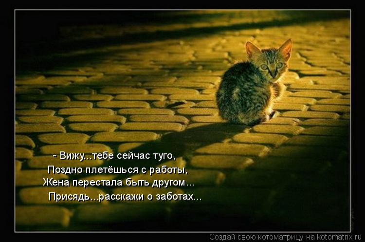 Котоматрица: - Вижу...тебе сейчас туго, Жена перестала быть другом... Поздно плетёшься с работы, Присядь...расскажи о заботах...