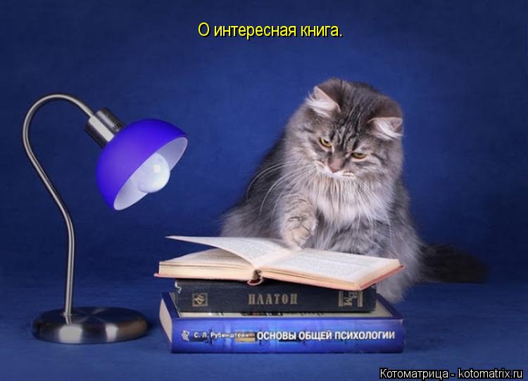 Котоматрица: О интересная книга.