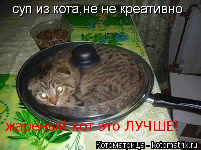 Котоматрица: суп из кота,не не креативно жареный кот это ЛУЧШЕ!