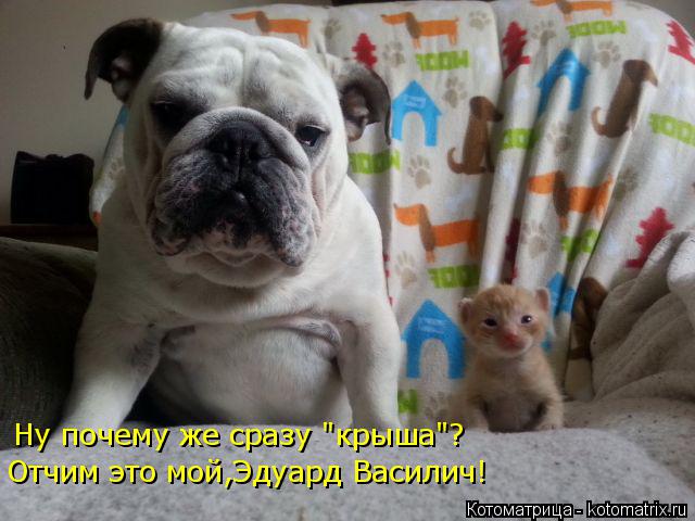 Котоматрица: Ну почему же сразу "крыша"? Отчим это мой,Эдуард Василич!