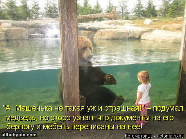 Котоматрица: "А  Машенька не такая уж и страшная!" – подумал медведь, но скоро узнал, что документы на его берлогу и мебель переписаны на неё!