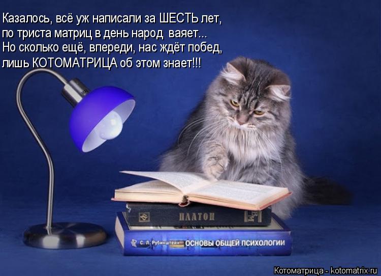 Казалось, всё уж написали за ШЕСТЬ лет, по триста матриц в день народ ваяет... Но сколько ещё, впере... Котоматрица: Казалось, всё уж написали за ШЕСТЬ лет, по триста матриц в день народ ваяет... Но сколько ещё, впереди, нас ждёт побед, лишь КОТОМАТРИЦА об это