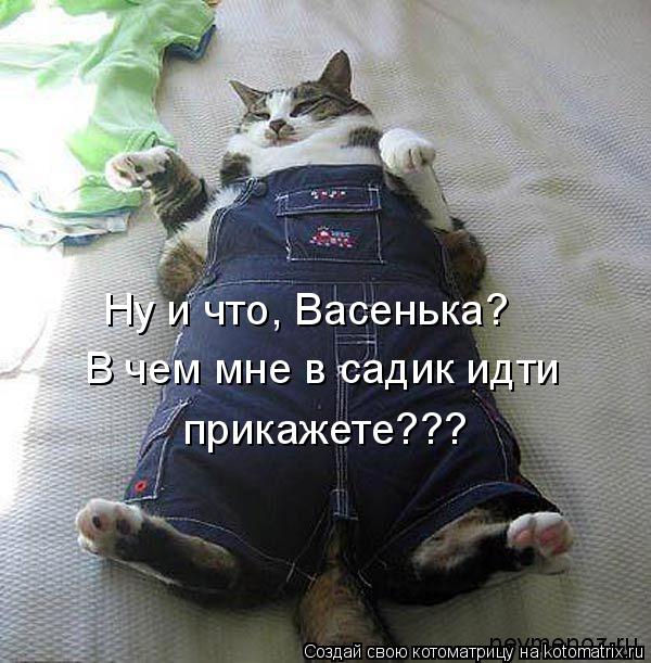 Котоматрица: Ну и что, Васенька? В чем мне в садик идти прикажете???
