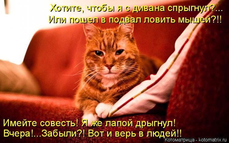 Котоматрица: Хотите, чтобы я с дивана спрыгнул?... Или пошел в подвал ловить мышей?!! Имейте совесть! Я же лапой дрыгнул! Вчера!...Забыли?! Вот и верь в людей!!
