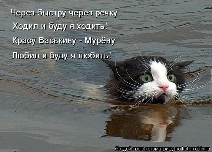 Котоматрица: Через быстру через речку Ходил и буду я ходить! Красу Васькину - Мурёну Любил и буду я любить!