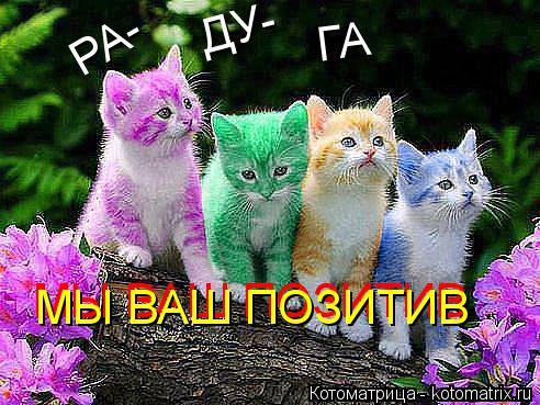Котоматрица: РА- ДУ- ГА МЫ ВАШ ПОЗИТИВ МЫ ВАШ ПОЗИТИВ