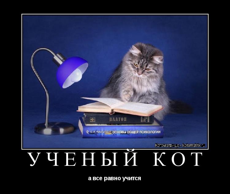 Котоматрица: УЧЕНЫЙ КОТ а все равно учится