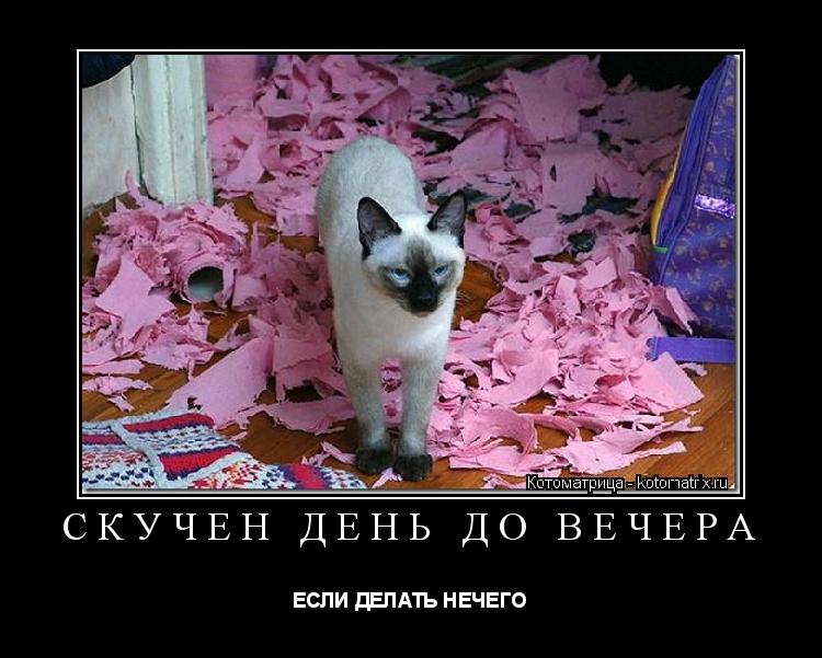 Скучно день за днём Скучно день за днём