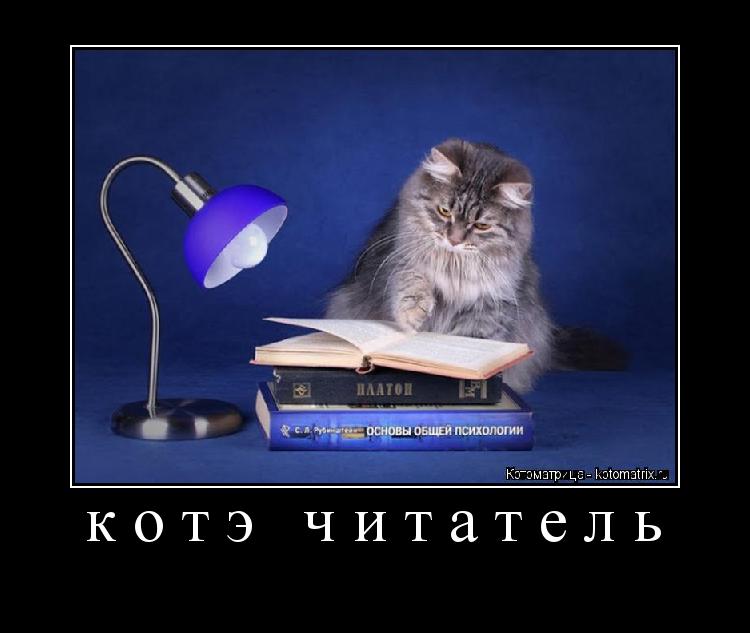 Котоматрица: котэ читатель 