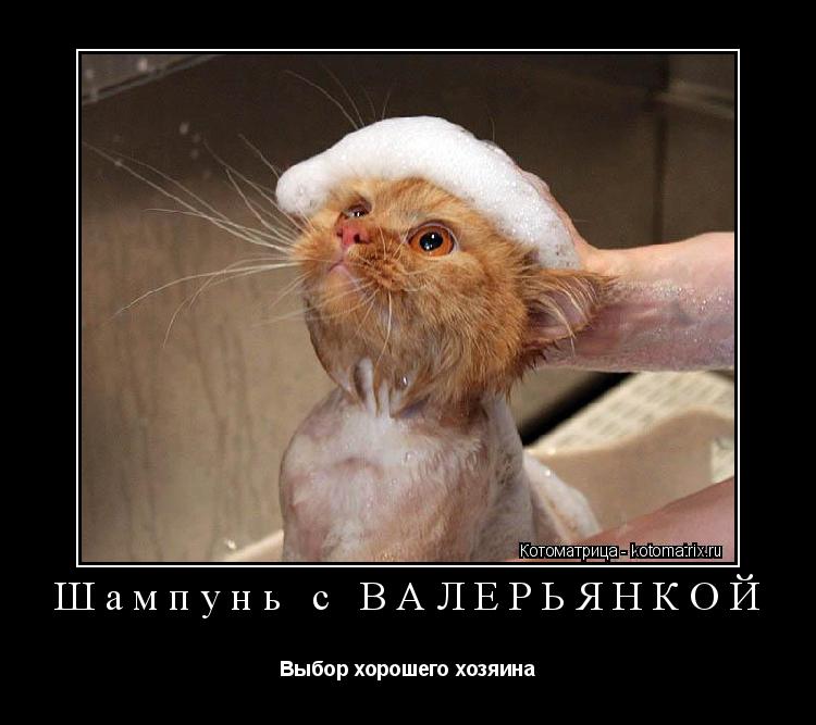 Котоматрица: Шампунь с ВАЛЕРЬЯНКОЙ Выбор хорошего хозяина