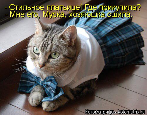 - Стильное платьице! Где прикупила? - Мне его, Мурка, хозяюшка сшила.... Котоматрица: - Стильное платьице! Где прикупила? - Мне его, Мурка, хозяюшка сшила.