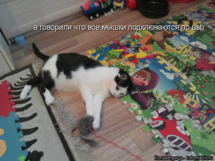 а говорили что все мышки подключаются по usb... Котоматрица: а говорили что все мышки подключаются по usb