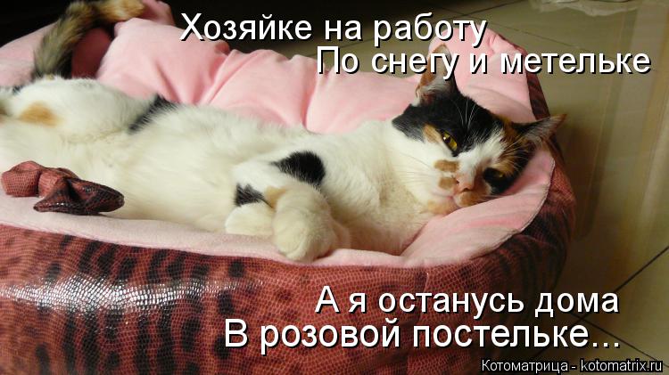 Котоматрица: Хозяйке на работу По снегу и метельке В розовой постельке... А я останусь дома