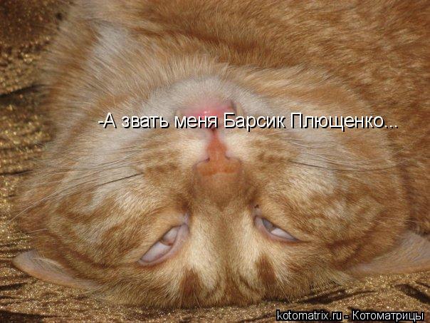 Котоматрица: -А звать меня Барсик Плющенко...