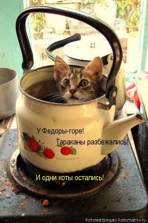 Котоматрица: У Федоры-горе! Тараканы разбежались! И одни коты остались!