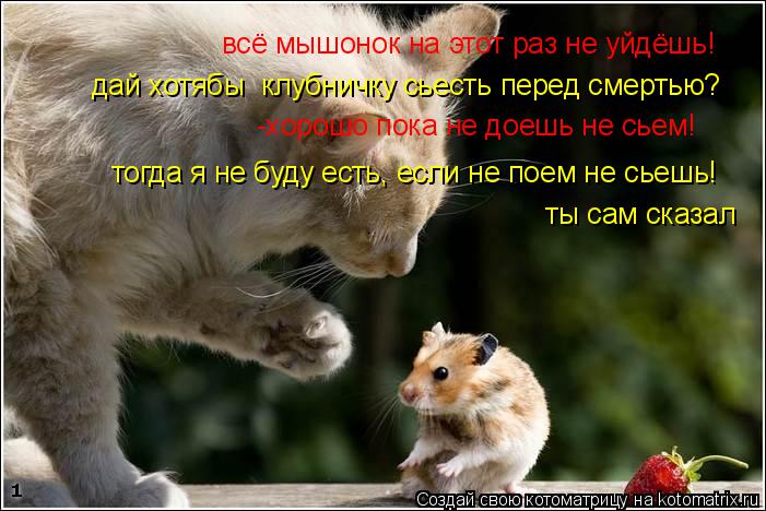 всё мышонок на этот раз не уйдёшь! дай хотябы клубничку сьесть перед смертью? -хорошо пока не доешь ... Котоматрица: всё мышонок на этот раз не уйдёшь! дай хотябы клубничку сьесть перед смертью? -хорошо пока не доешь не сьем! тогда я не буду есть, если не пое