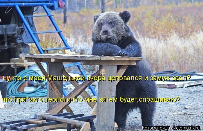 Котоматрица: ну,кто с моей Машенькой вчера целовался и замуж звал? что притихли,геологи,кто мне зятем будет,спрашиваю?