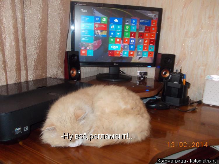 Котоматрица: -Ну всё,регламент!...